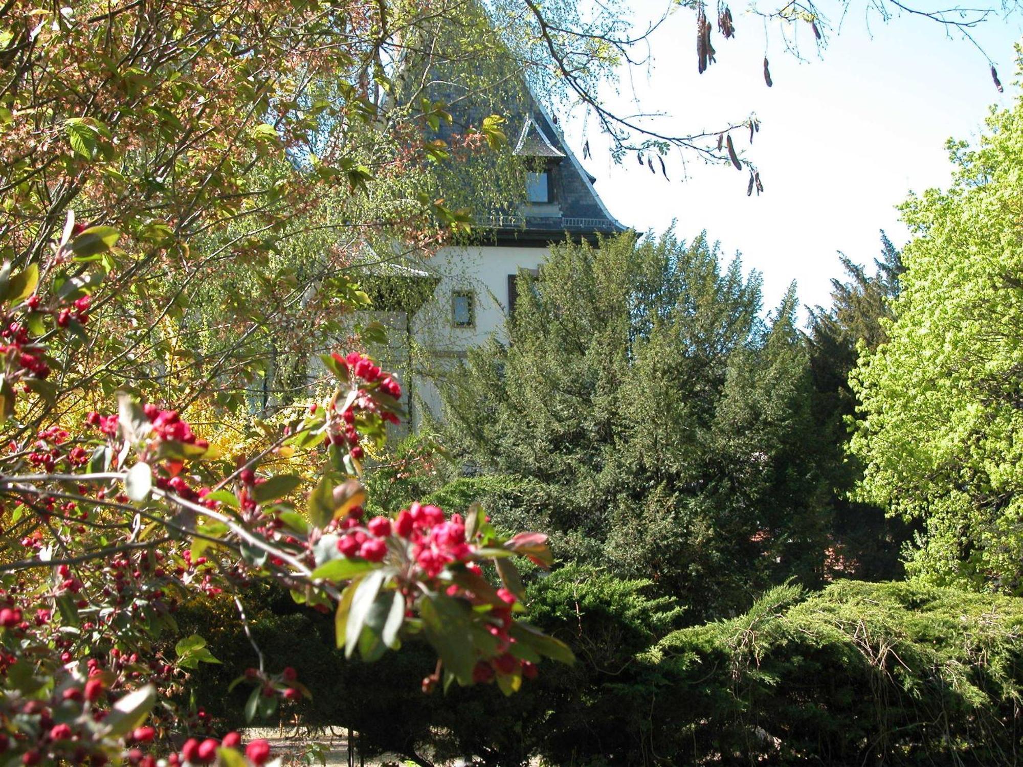 Domaine De Beaupre - Hotel The Originals Relais กีบวิลเลอร์ ภายนอก รูปภาพ